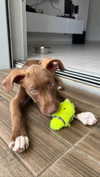 milena_kofef Altpins Profile Picture