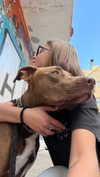 milena_kofef Altpins Profile Picture