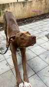 milena_kofef Altpins Profile Picture