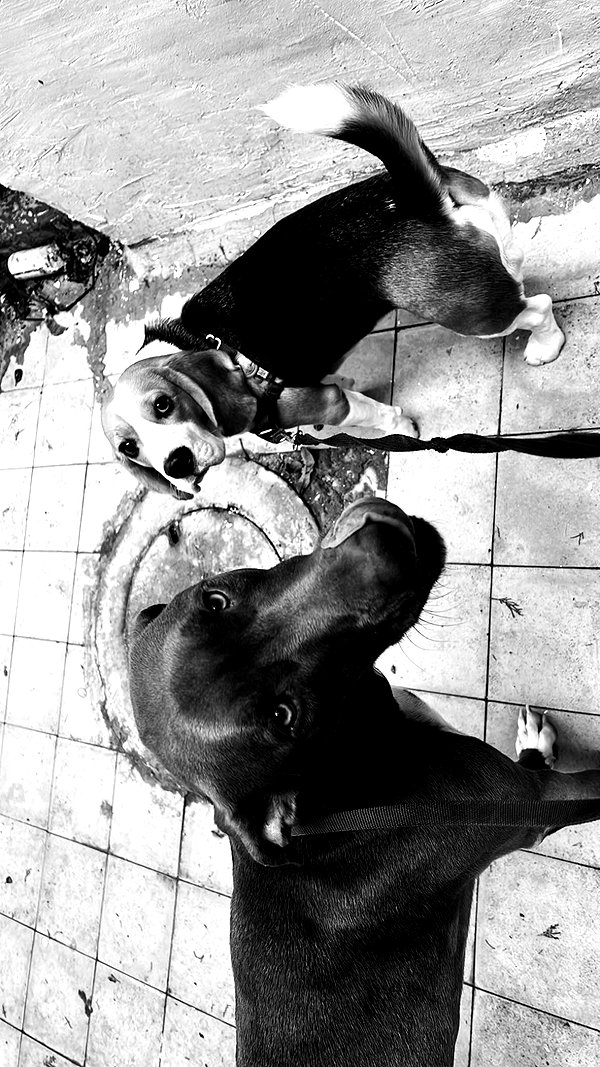 milena_kofef milena_kofef archive image