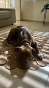 milena_kofef Altpins Profile Picture
