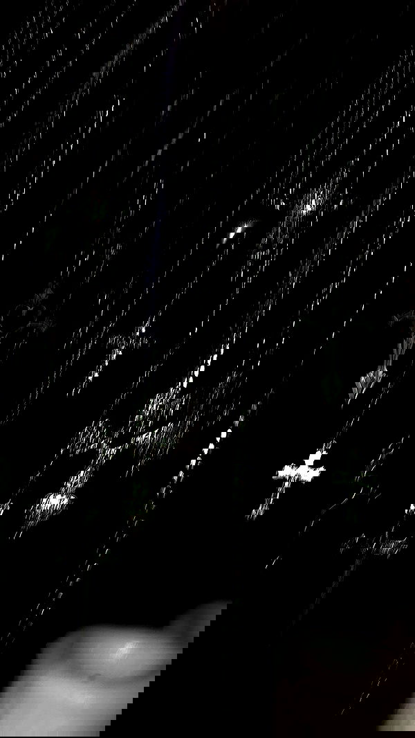 milkgore milkgore archive image