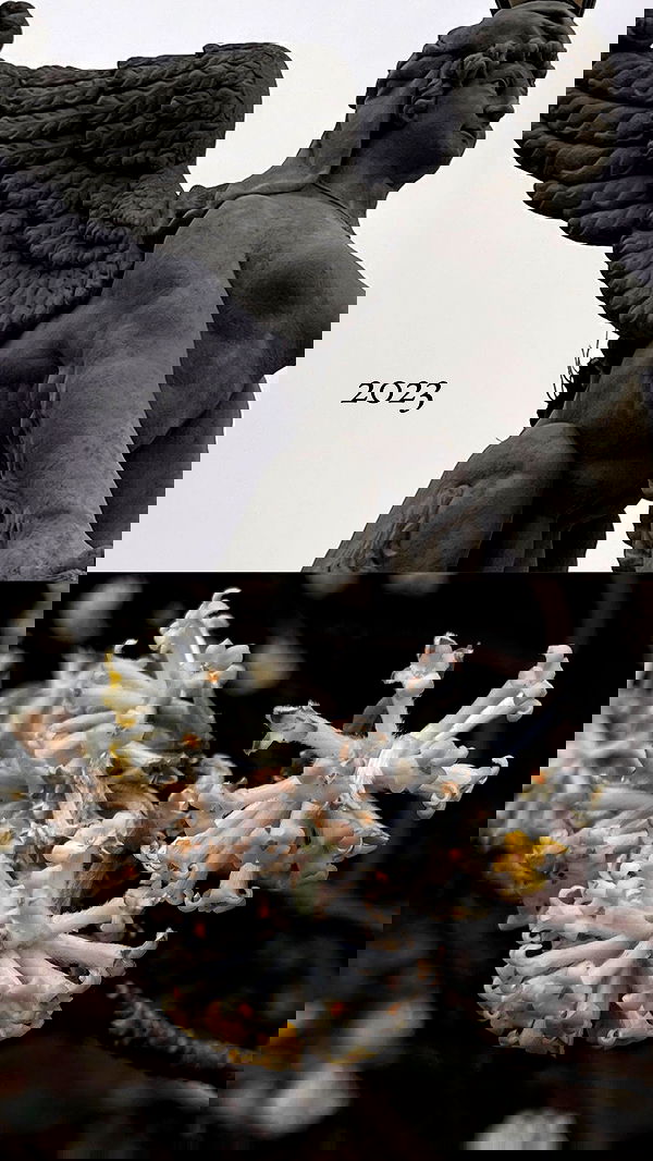 milkgore milkgore archive image