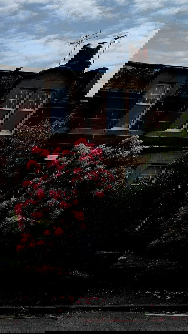 milkgore milkgore archive image