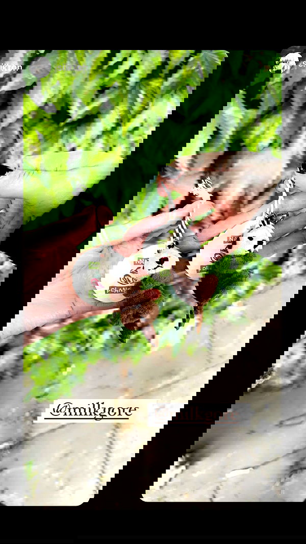 milkgore milkgore archive image