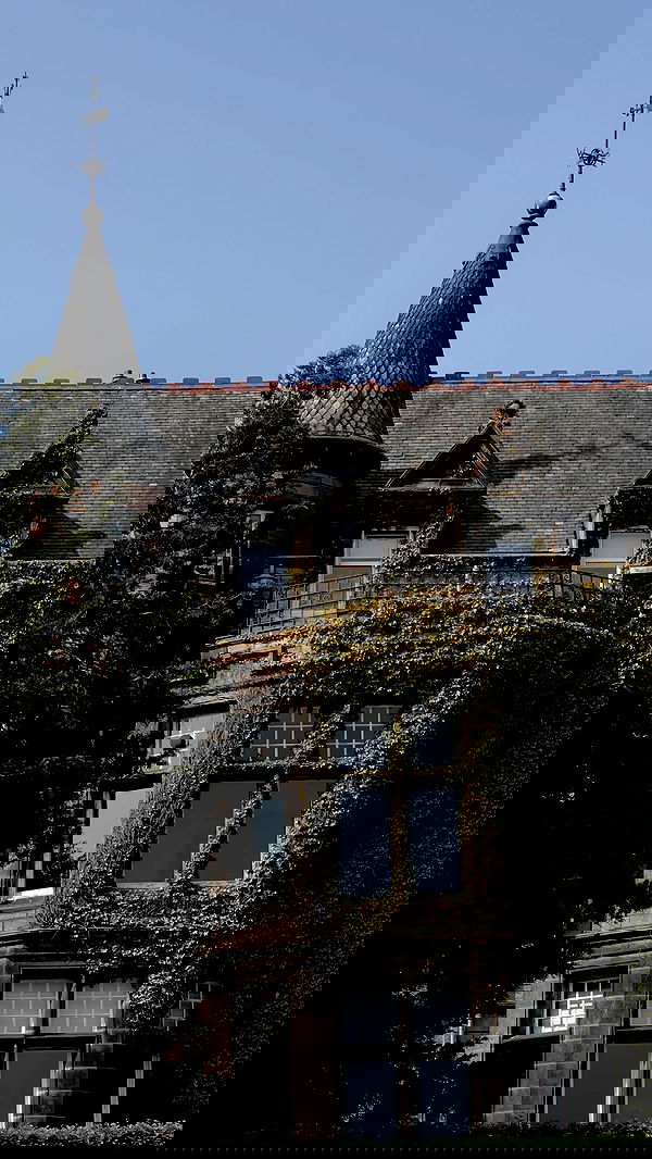 milkgore milkgore archive image