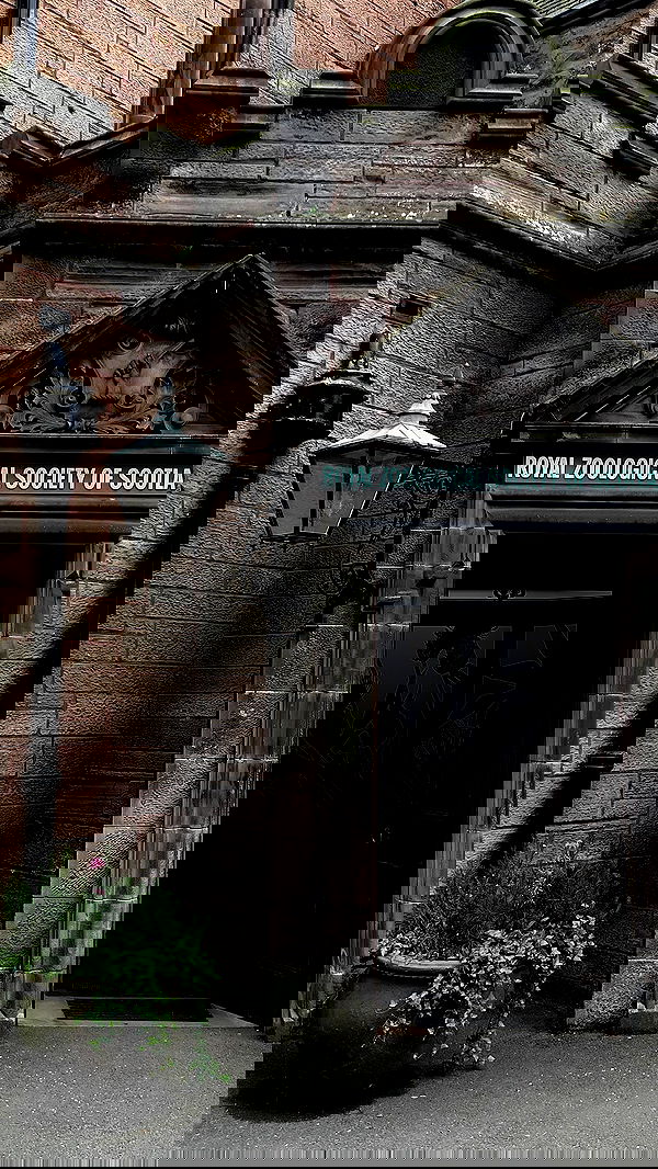 milkgore milkgore archive image