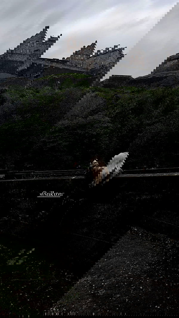 milkgore milkgore archive image