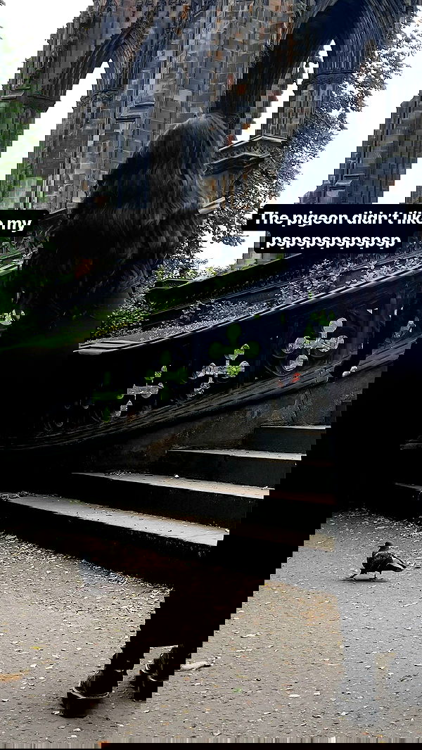 milkgore milkgore archive image