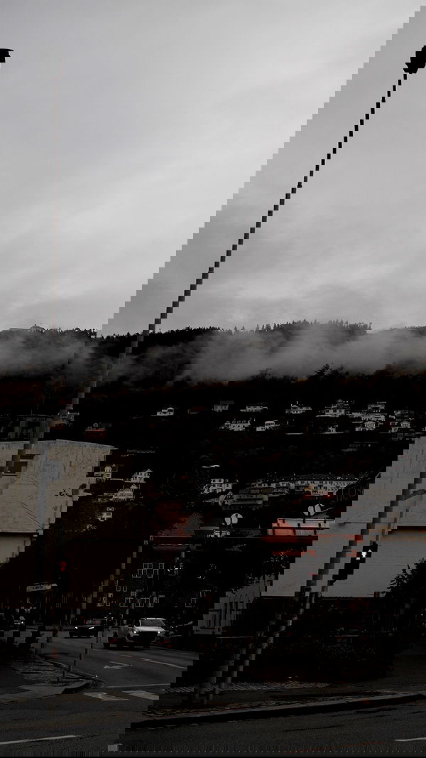 milkgore milkgore archive image