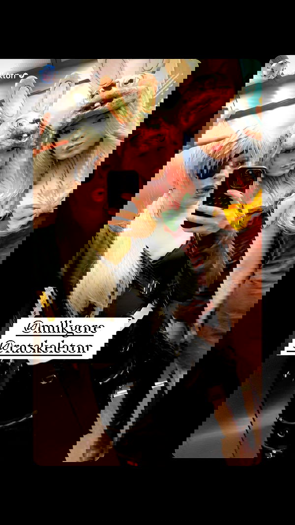 milkgore milkgore archive image