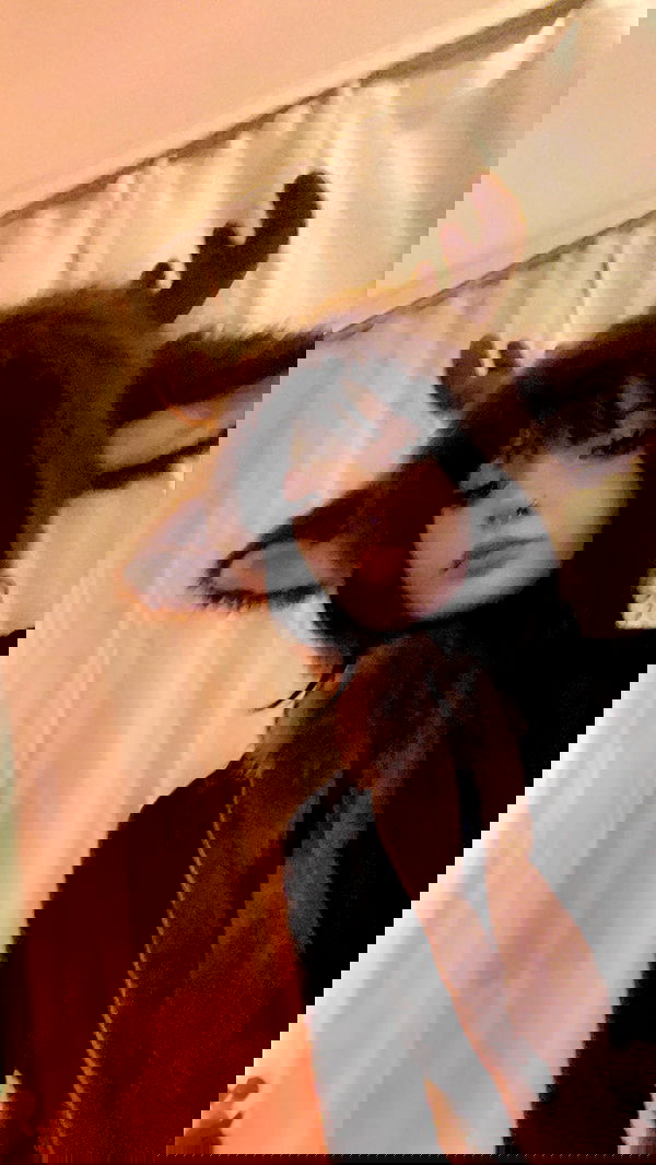 milkgore milkgore archive image