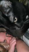 minxyychomp Altpins Profile Picture