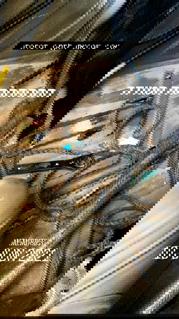 mishel116 mishel116 archive image