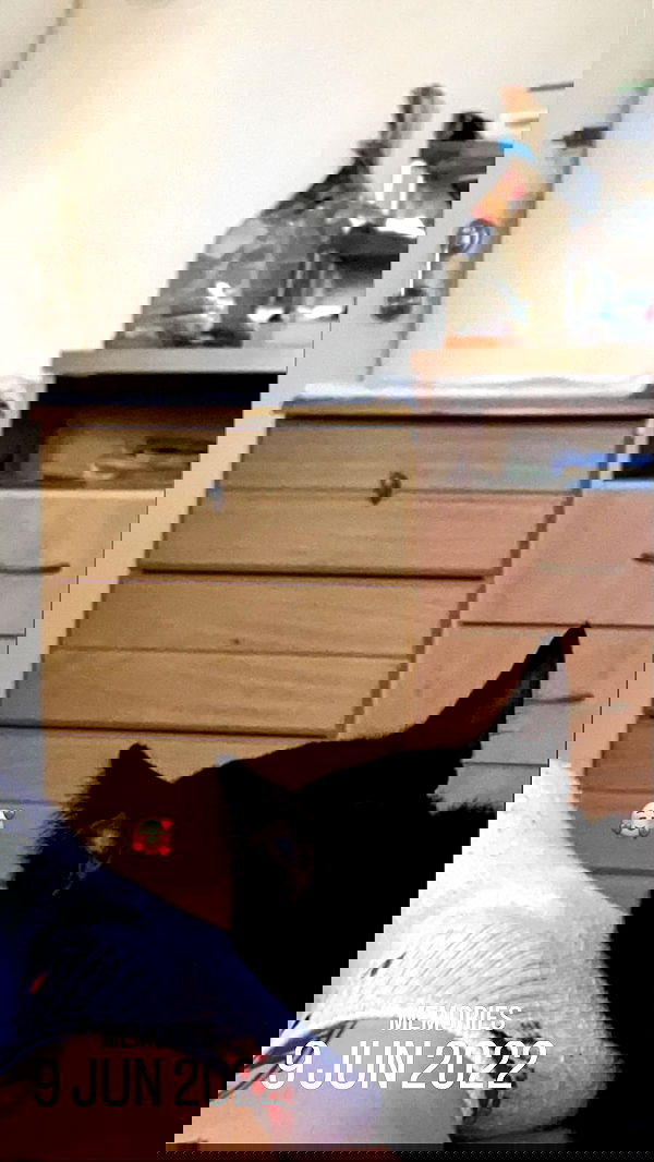 mishel116 mishel116 archive image