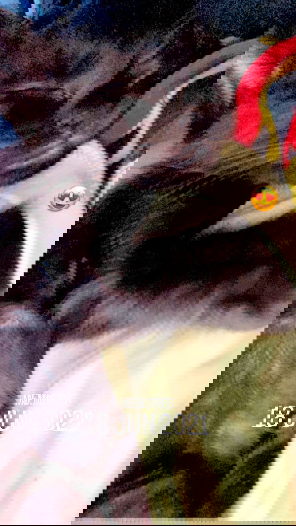 mishel116 mishel116 archive image