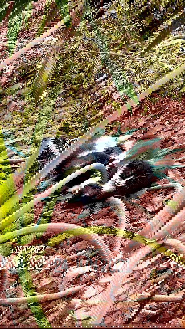 mishel116 mishel116 archive image