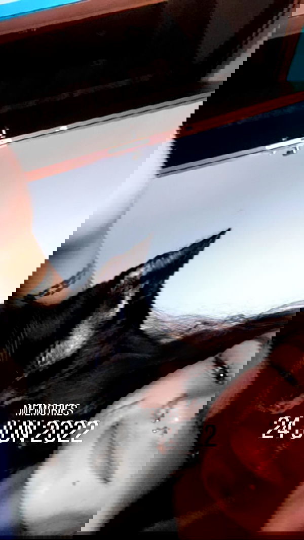 mishel116 mishel116 archive image