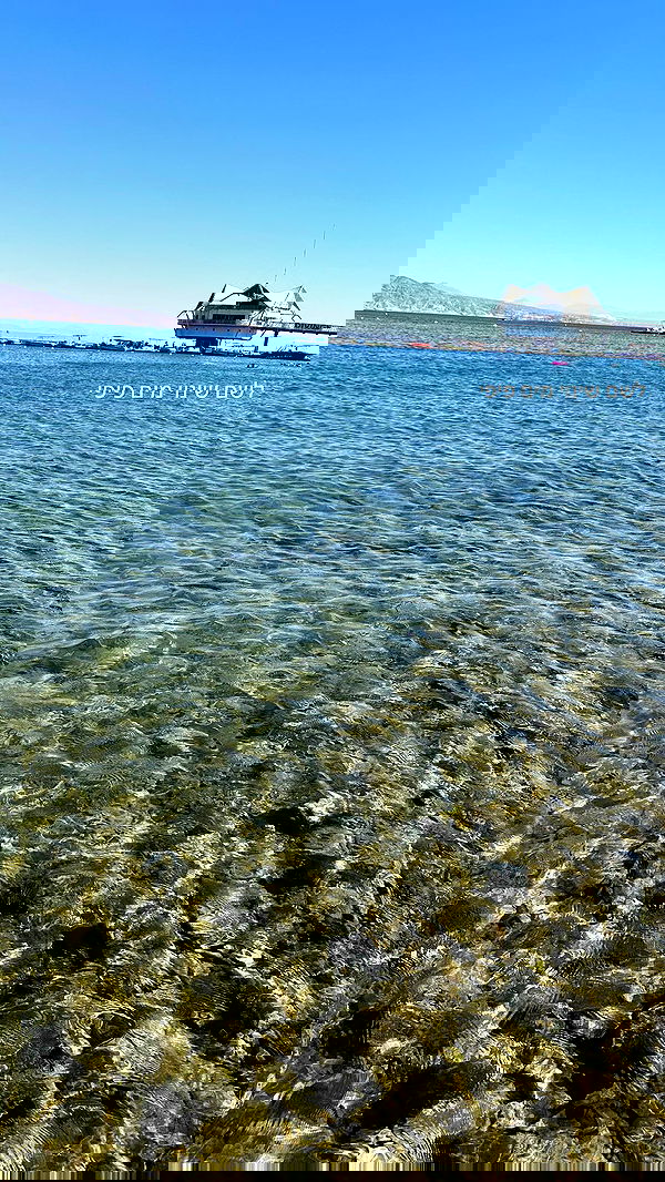 mishel116 mishel116 archive image