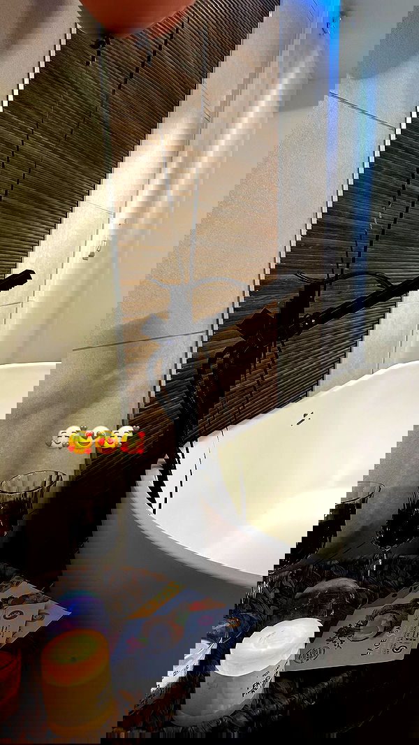 mishel116 mishel116 archive image