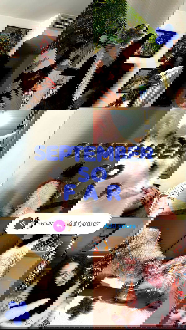 mishel116 mishel116 archive image