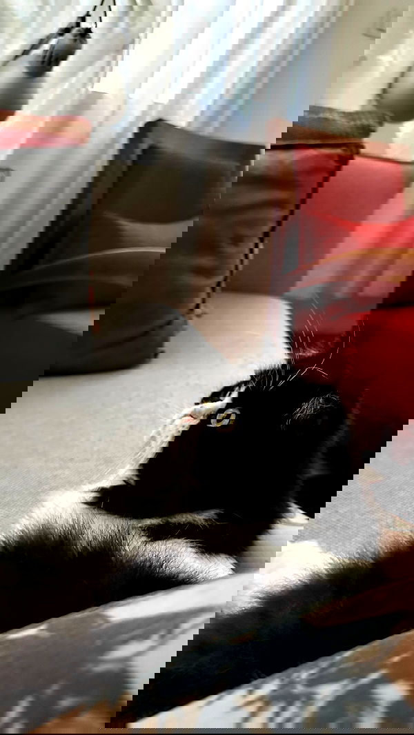 mishel116 mishel116 archive image