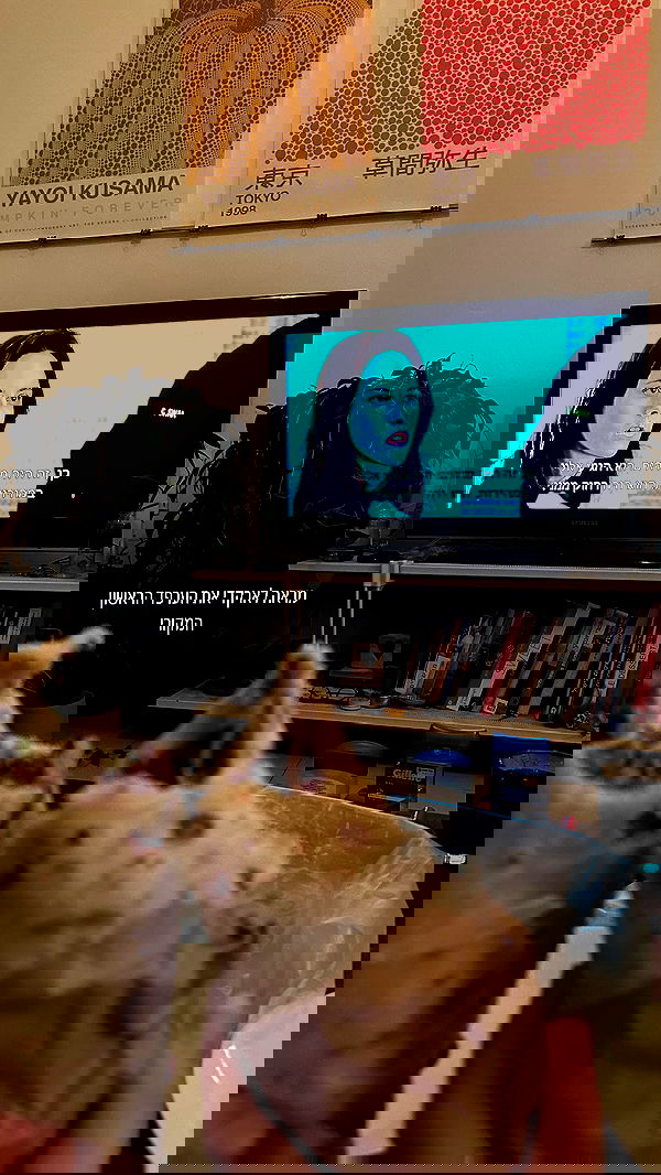 mishel116 mishel116 archive image