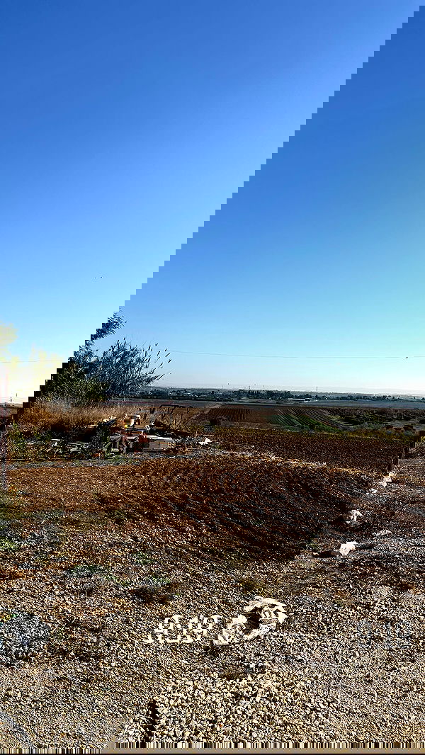 mishel116 mishel116 archive image