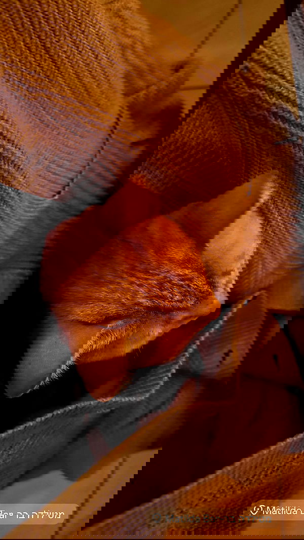 mishel116 mishel116 archive image