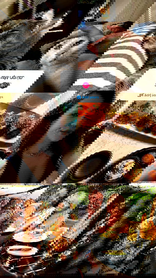 mishel116 mishel116 archive image