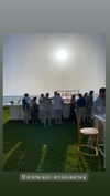 molly_fridman Altpins Profile Picture