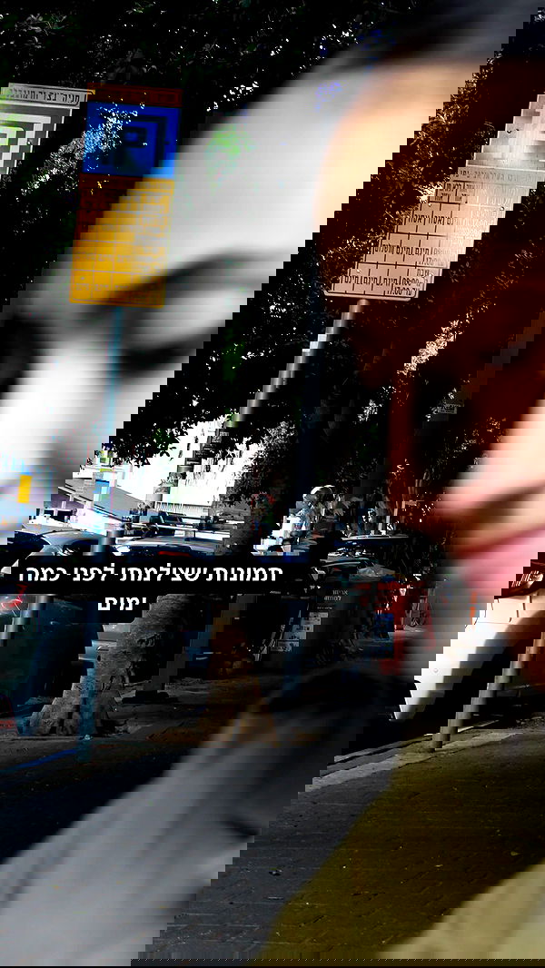 moonliliaght moonliliaght archive image