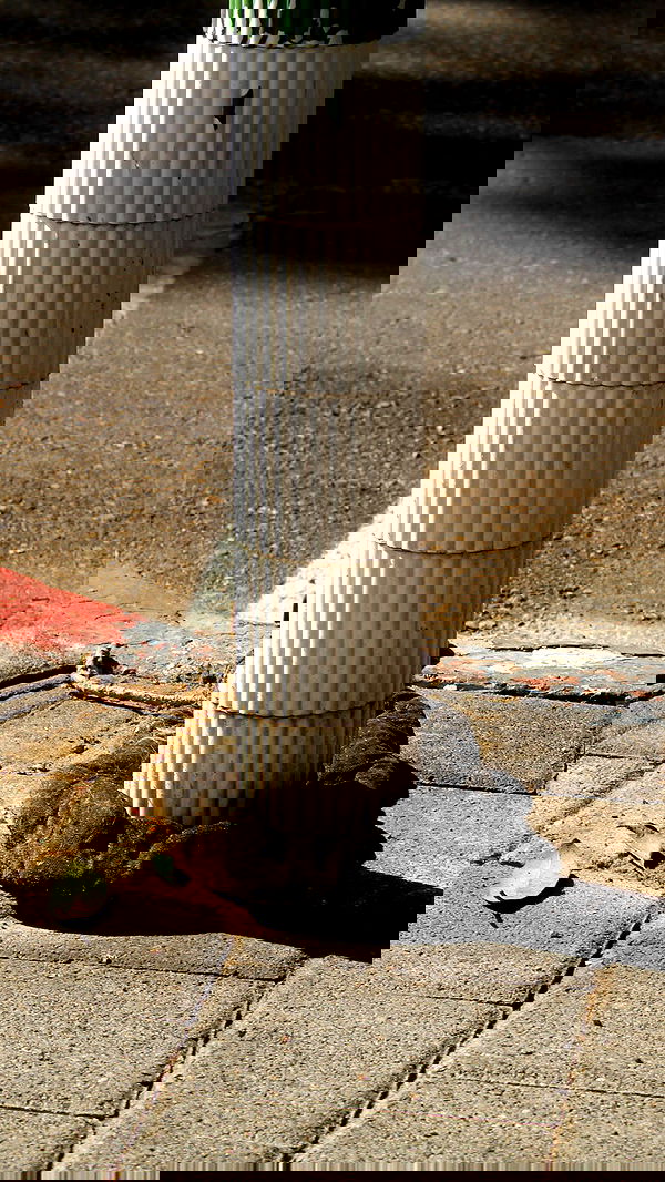 moonliliaght moonliliaght archive image