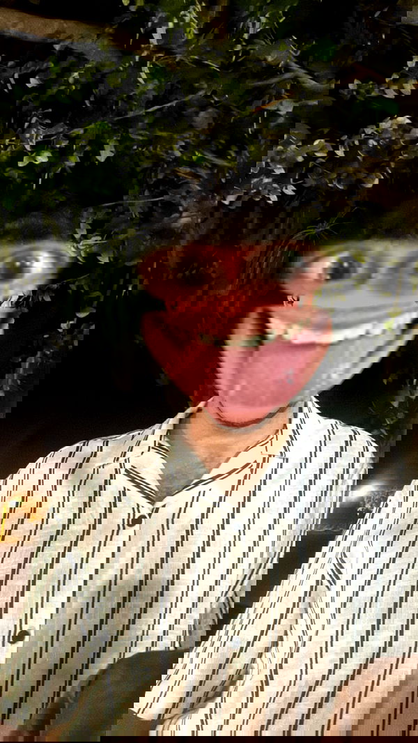 moonliliaght moonliliaght archive image