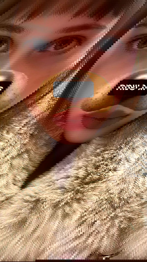 moonliliaght moonliliaght archive image