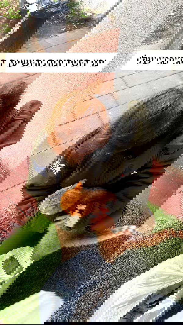 moonliliaght moonliliaght archive image