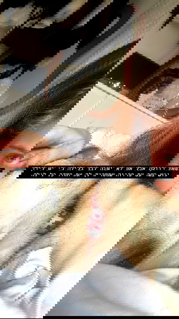 moonliliaght moonliliaght archive image