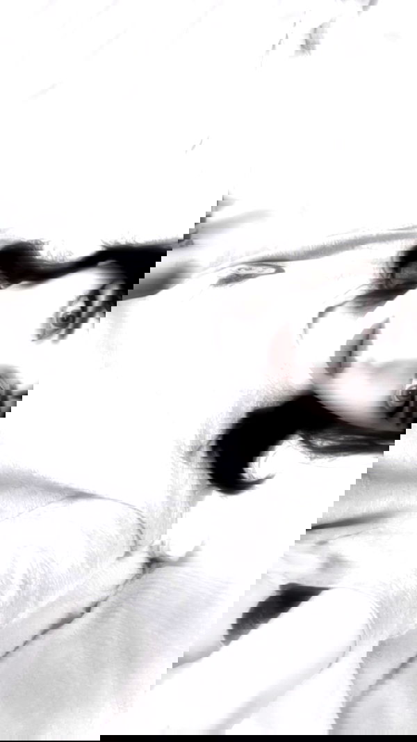 moonliliaght moonliliaght archive image