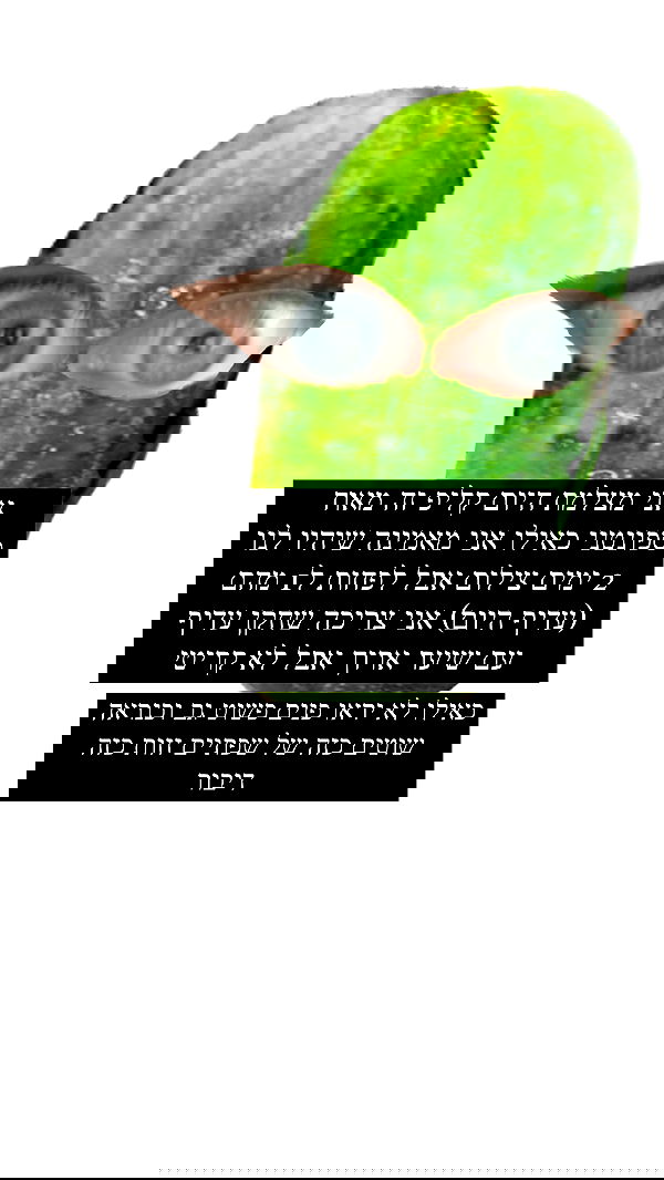 moonliliaght moonliliaght archive image