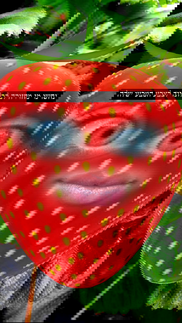 moonliliaght moonliliaght archive image