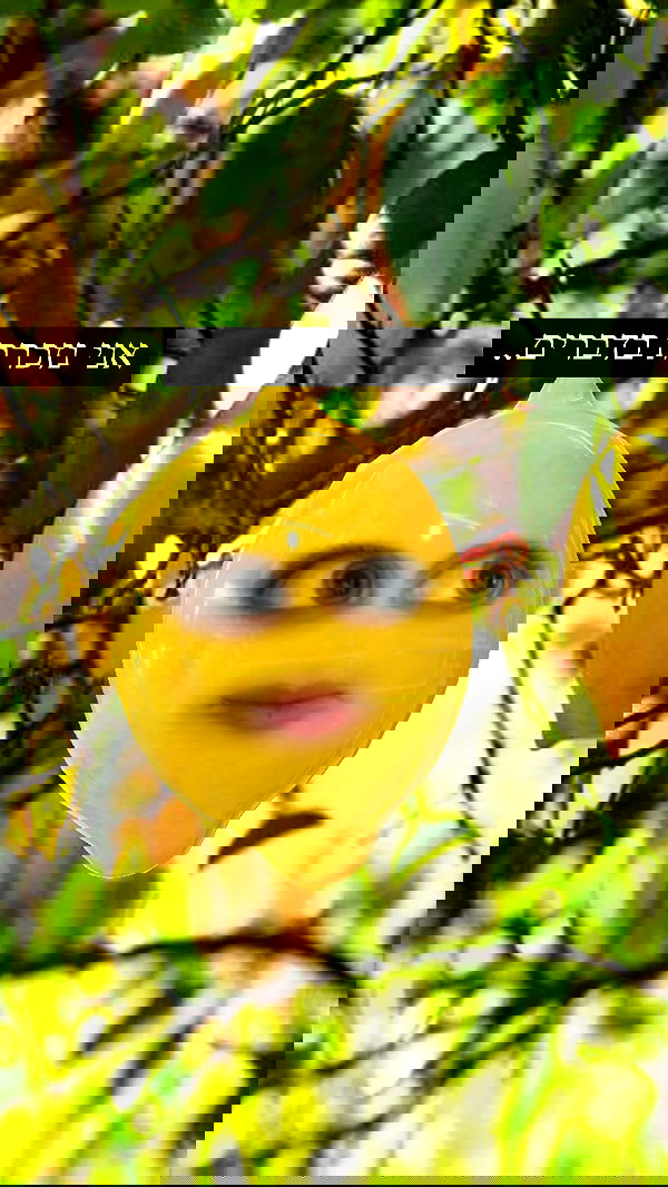 moonliliaght moonliliaght archive image