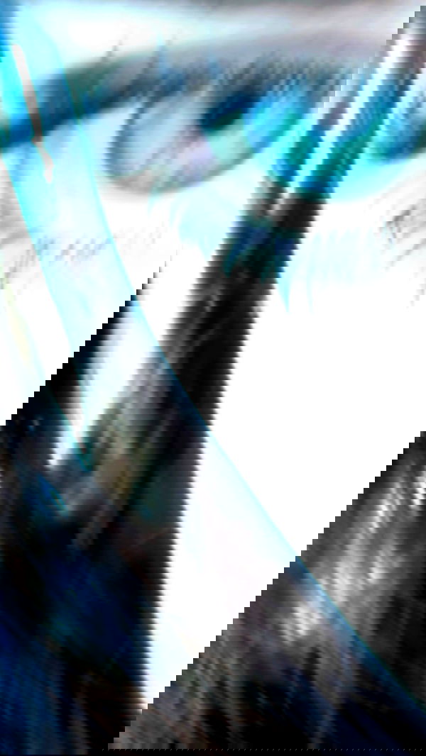 moonliliaght moonliliaght archive image