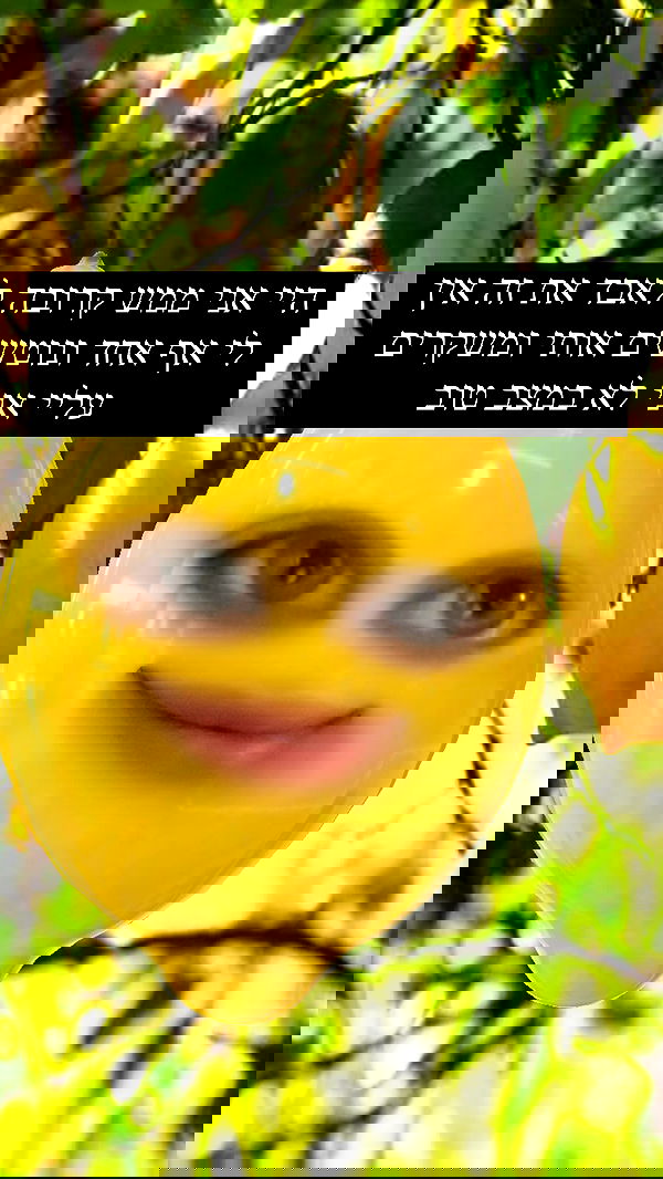 moonliliaght moonliliaght archive image