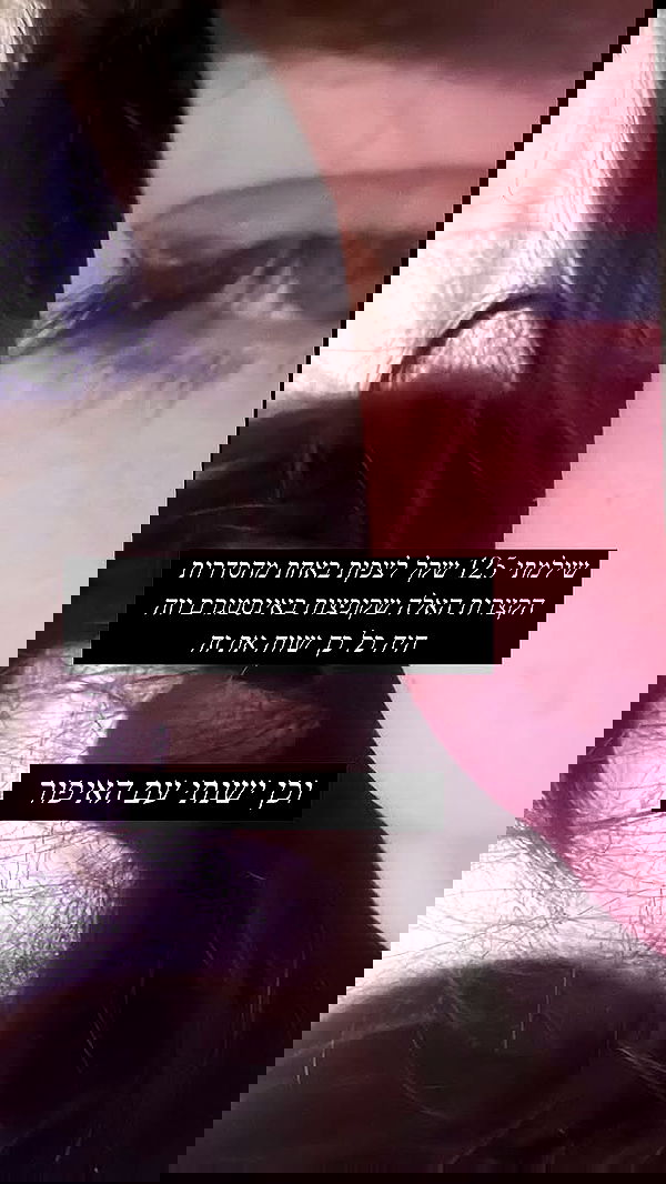 moonliliaght moonliliaght archive image