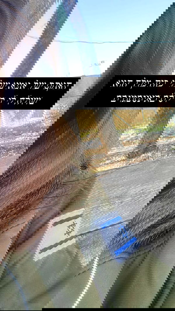 moonliliaght moonliliaght archive image