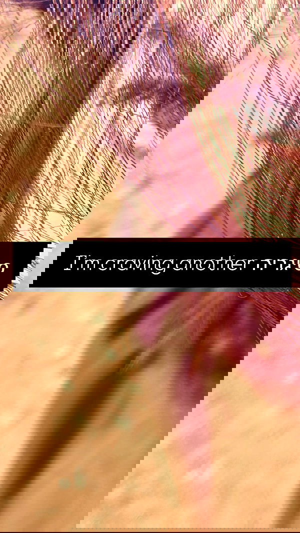 moonliliaght moonliliaght archive image