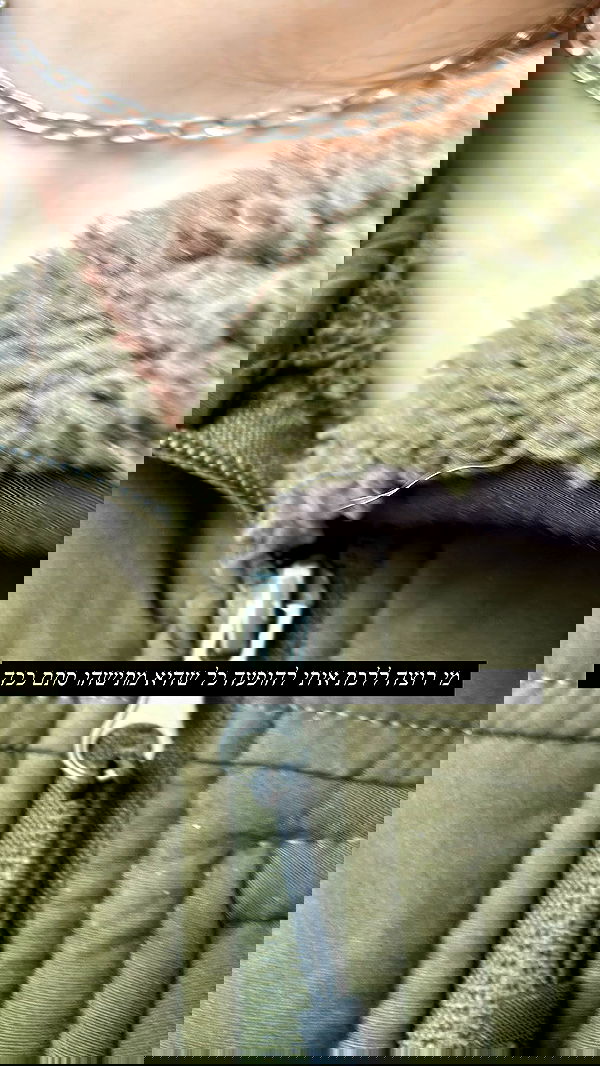 moonliliaght moonliliaght archive image