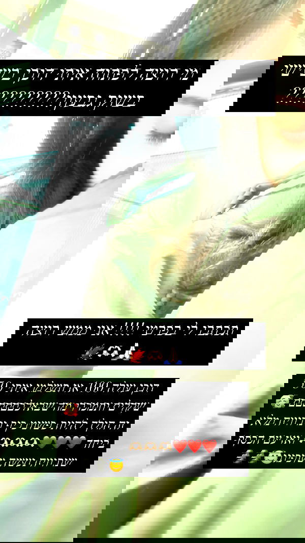 moonliliaght moonliliaght archive image