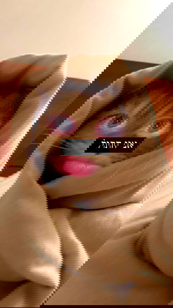 moonliliaght moonliliaght archive image