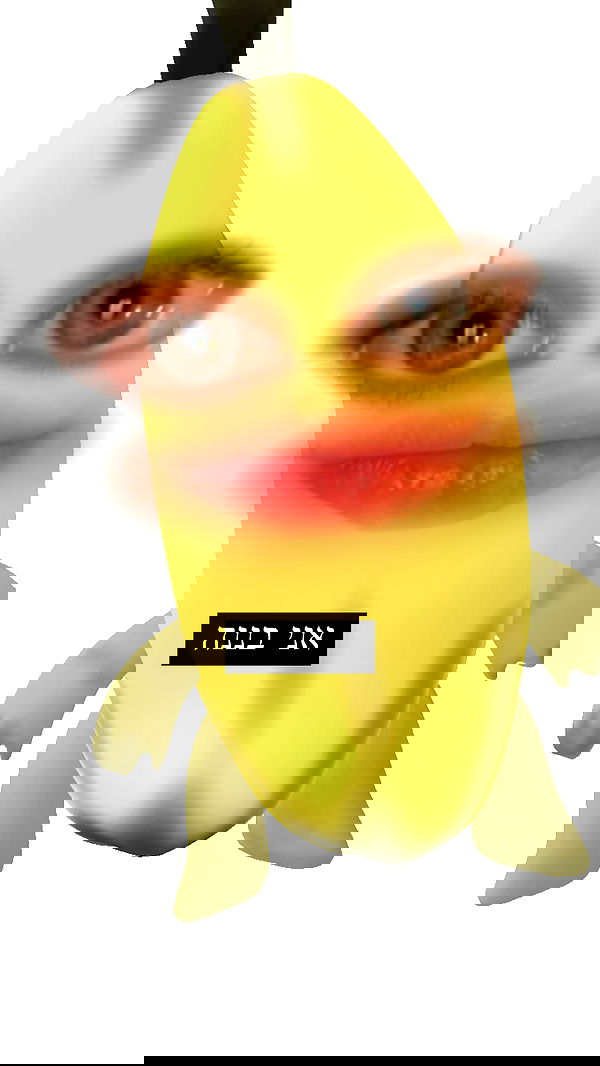 moonliliaght moonliliaght archive image